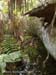 litfish_0602
