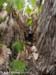 palms_0597